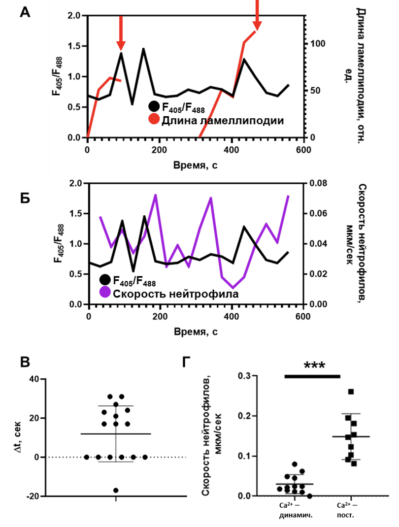 Уникальная услуга
