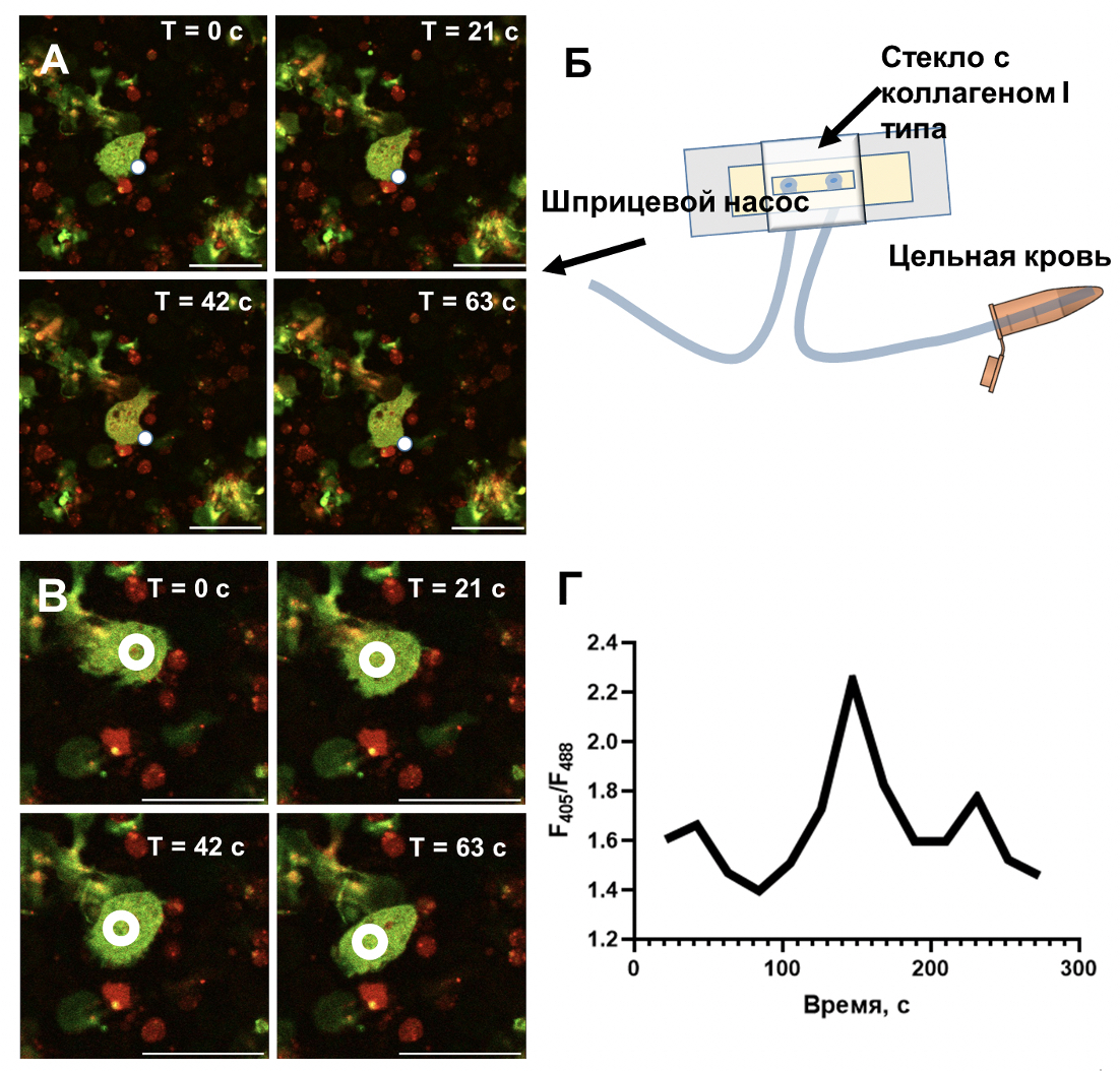 Уникальная услуга